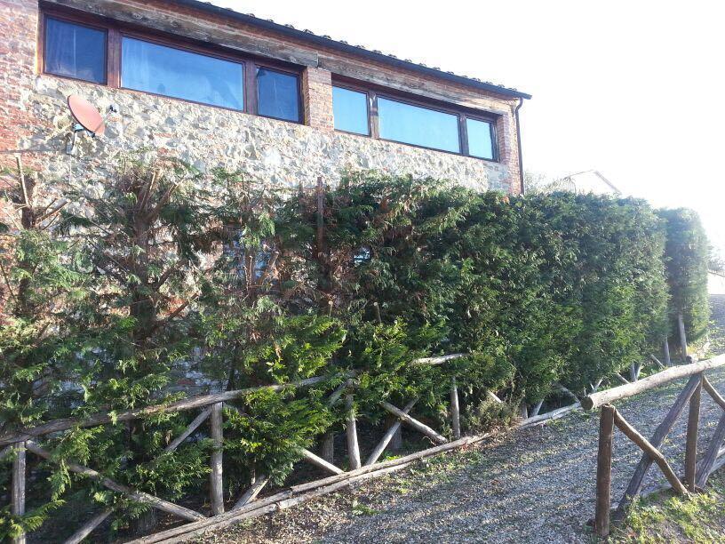 Residenza Il Platano Fortilizio Di Campiglia ラポラーノ・テルメ エクステリア 写真